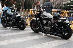 Benda Limestone 707 700 cc - ფოტო 1