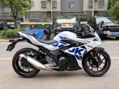Haojue Suzuki GSX250R - photo 1