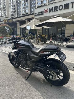 Harley-Davidson X 350 - photo 7