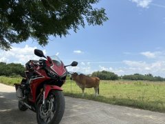 Honda CBR400R - ფოტო 3
