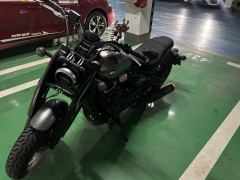 Cyclone RA600 560 cc - photo 5