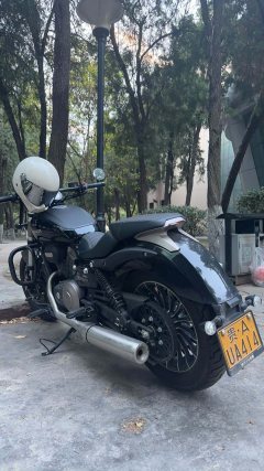Benda Polestones 03 Gray 300 cc - ფოტო 4