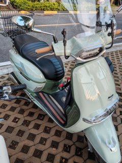Weiduoliya Sixties 150Si - ფოტო 1