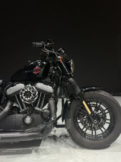 Harley-Davidson Forty-Eight athlete 1202 cc - ფოტო 2