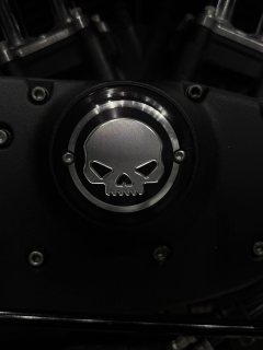 Harley-Davidson Forty-Eight athlete 1202 cc - ფოტო 8