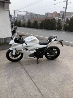 QJMOTOR SRK 250 - ფოტო 3