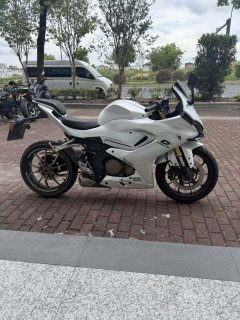 QJMOTOR SRK 250 - ფოტო 2