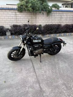QJMOTOR Flash 300 - photo 4