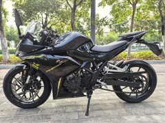 Kayo 250RR Thornbird - ფოტო 1