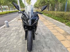 Kayo 250RR Thornbird - ფოტო 2