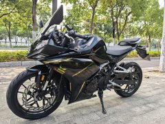 Kayo 250RR Thornbird - ფოტო 3