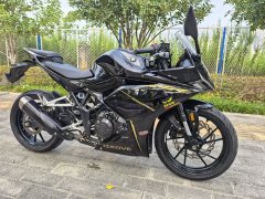 Kayo 250RR Thornbird - ფოტო 4