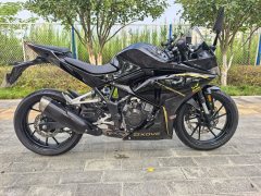 Kayo 250RR Thornbird - ფოტო 5