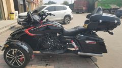 John Waye Weidinán 550 cc - photo 3