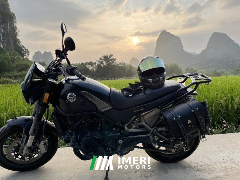 2023 Benelli Lion Cub Leoncino 500
