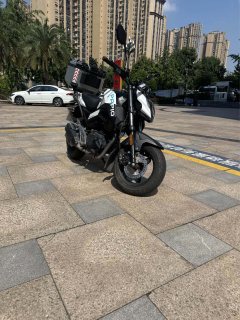 CFMOTO ST Baboon 125 cc - фото 2