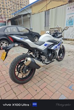 Haojue Suzuki GSX250R - фото 7