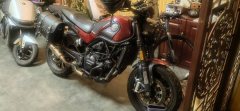 Benelli Leoncino 500 - фото 1