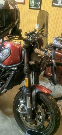 Benelli Leoncino 500 - фото 2
