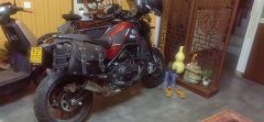 Benelli Leoncino 500 - фото 4