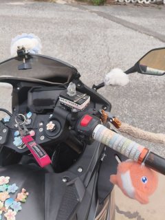 Voge 300RR - ფოტო 1