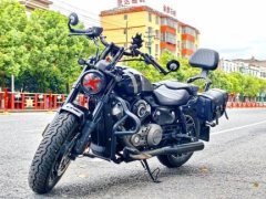 Benda 250 - фото 1