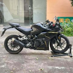 Kayo 250RR Thornbird - ფოტო 2