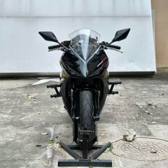 Kayo 250RR Thornbird - ფოტო 3