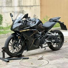 Kayo 250RR Thornbird - ფოტო 4
