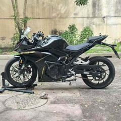 Kayo 250RR Thornbird - ფოტო 5