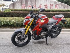 Haojue DR300 - ფოტო 1