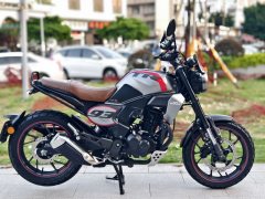 Sundiro Honda CBF190TR - фото 2