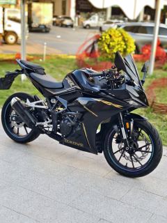 Kayo 250RR Thornbird - ფოტო 1