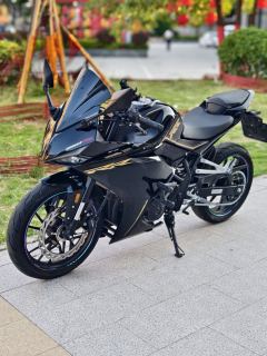Kayo 250RR Thornbird - ფოტო 3