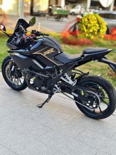 Kayo 250RR Thornbird - ფოტო 5