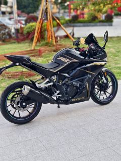 Kayo 250RR Thornbird - ფოტო 8