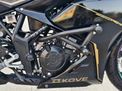 Kayo 250RR Thornbird - ფოტო 9