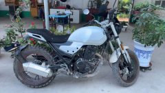 SHINERAY DM250 - фото 1