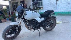 SHINERAY DM250 - фото 2