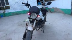 SHINERAY DM250 - фото 4