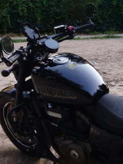 QJMOTOR Flash 350 - ფოტო 3