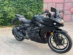 Haojue Suzuki GSX250R - фото 6