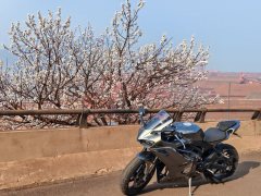 Kayo 450RR - ფოტო 1