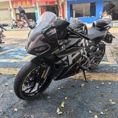 CFMOTO 250SR - ფოტო 3