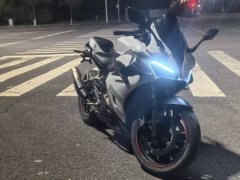 QJMOTOR 450 - ფოტო 3