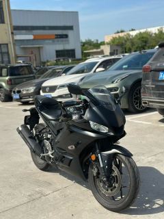 Yamaha YZF-R3 320 cc - photo 2