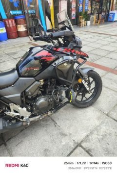 Haojue Suzuki DL250 - ფოტო 3