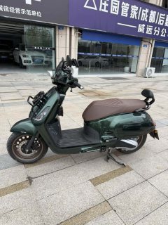 Sundiro Honda NS150LA - фото 3