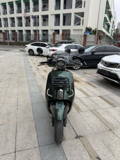 Sundiro Honda NS150LA - фото 4