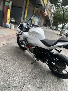 QJMOTOR SRK 250 - photo 4